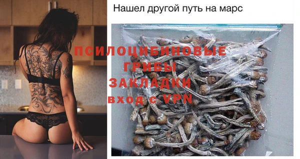 твердый Иннополис
