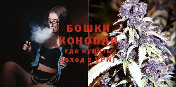 твердый Иннополис