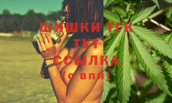 твердый Иннополис