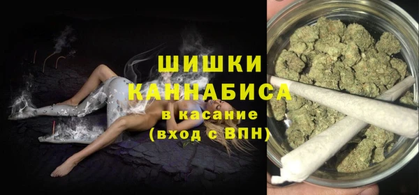 твердый Иннополис
