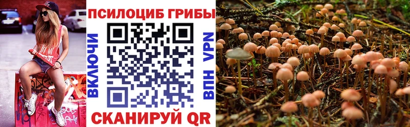 Купить закладки Добрянка Галлюциногенные грибы мицелий